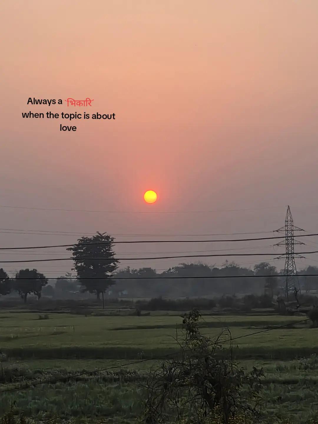 @1328💜
