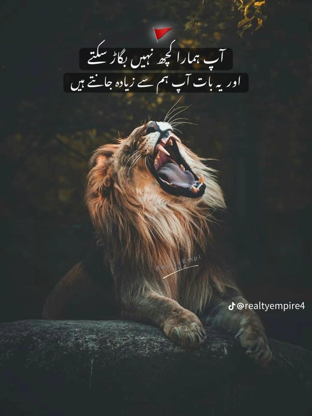 @✨رائے ابوبکر کھرل 🥰🫂