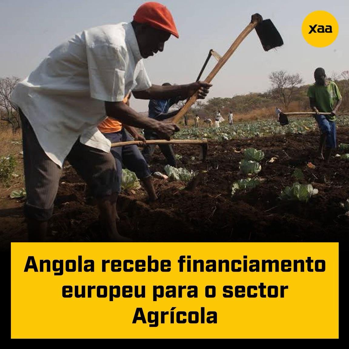 @xaa.oficial