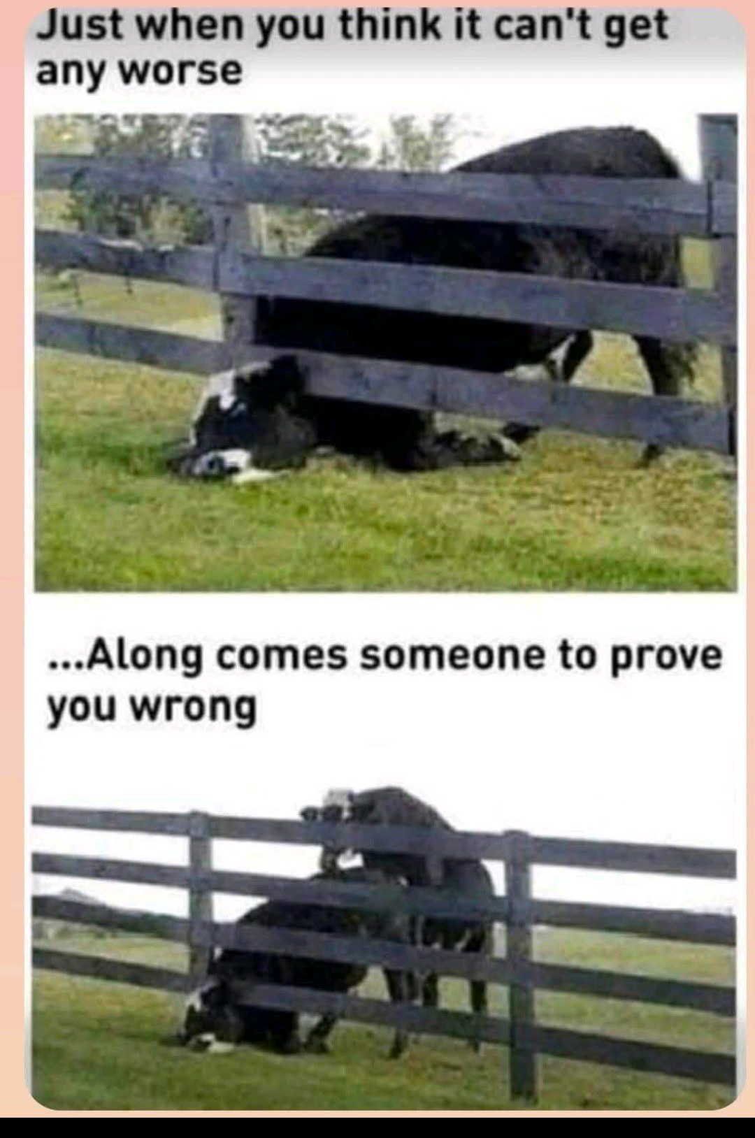 @johnegan562