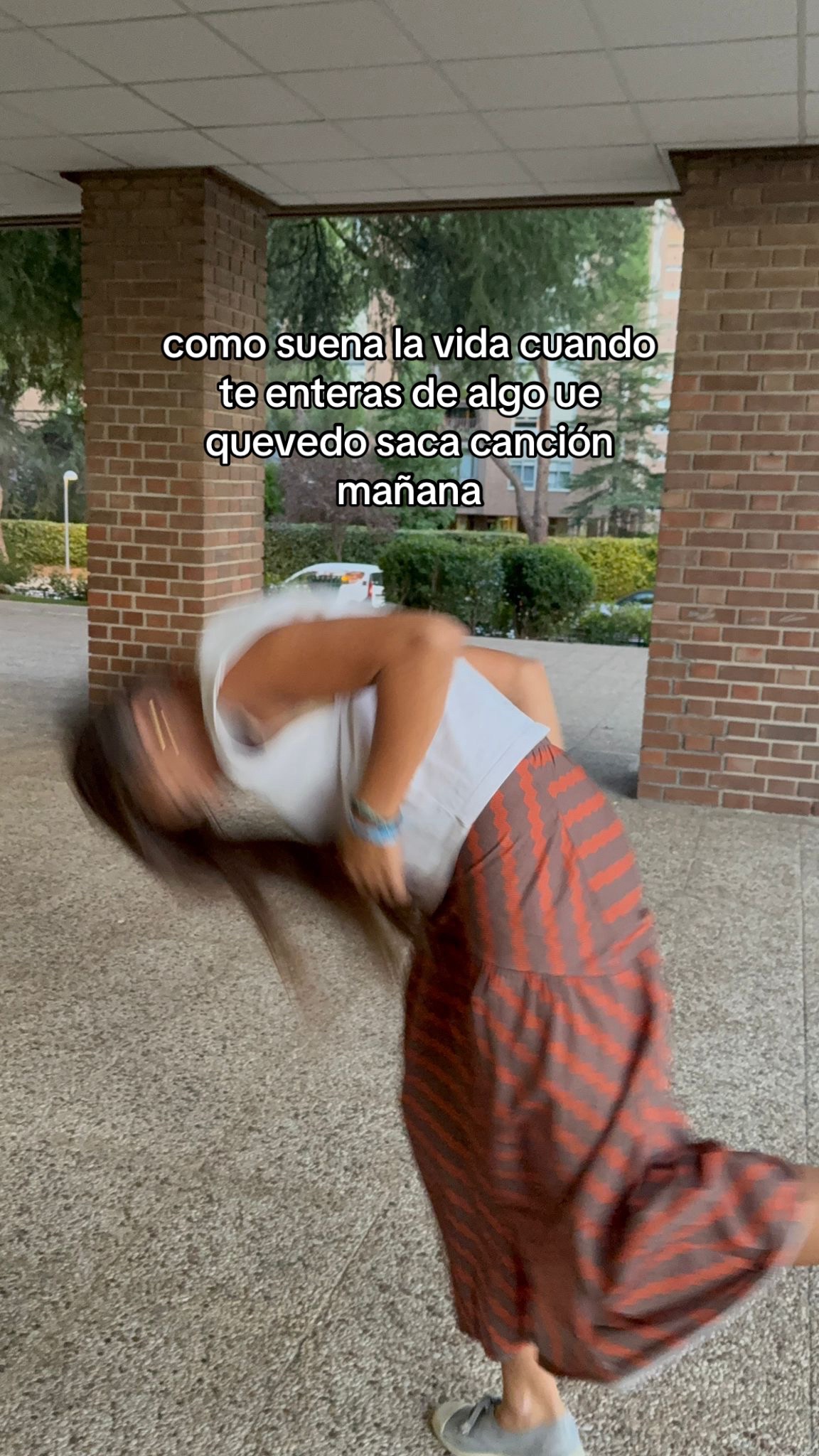 @cerdipous
