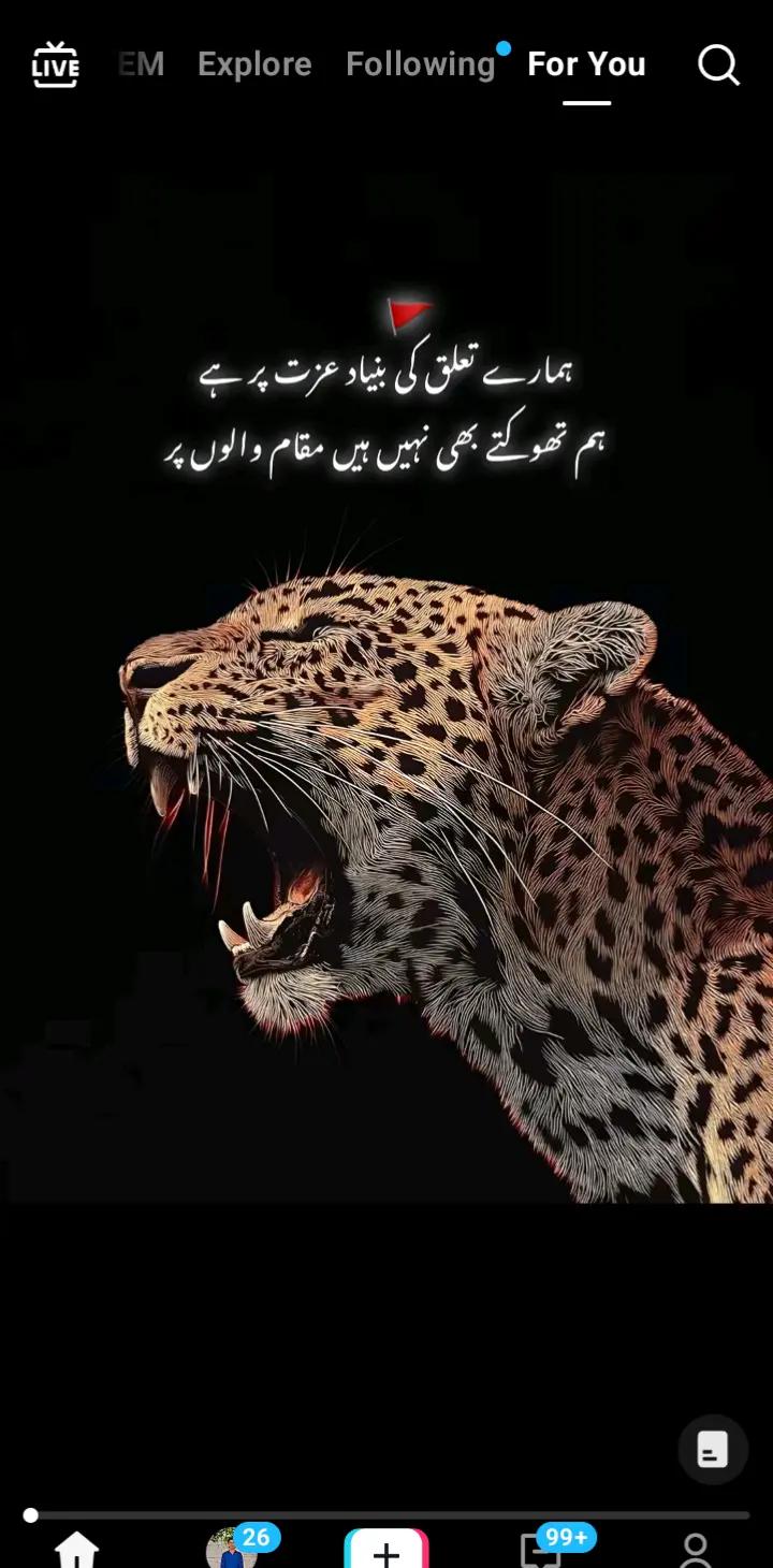 @✨مہر عبد الرحمن ✨