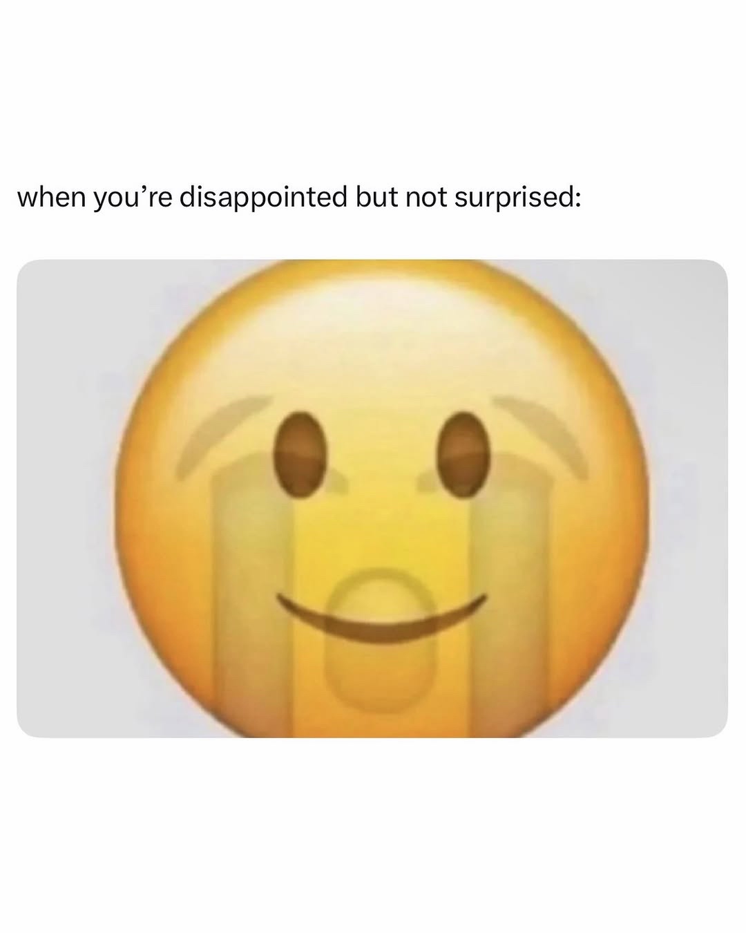 @females