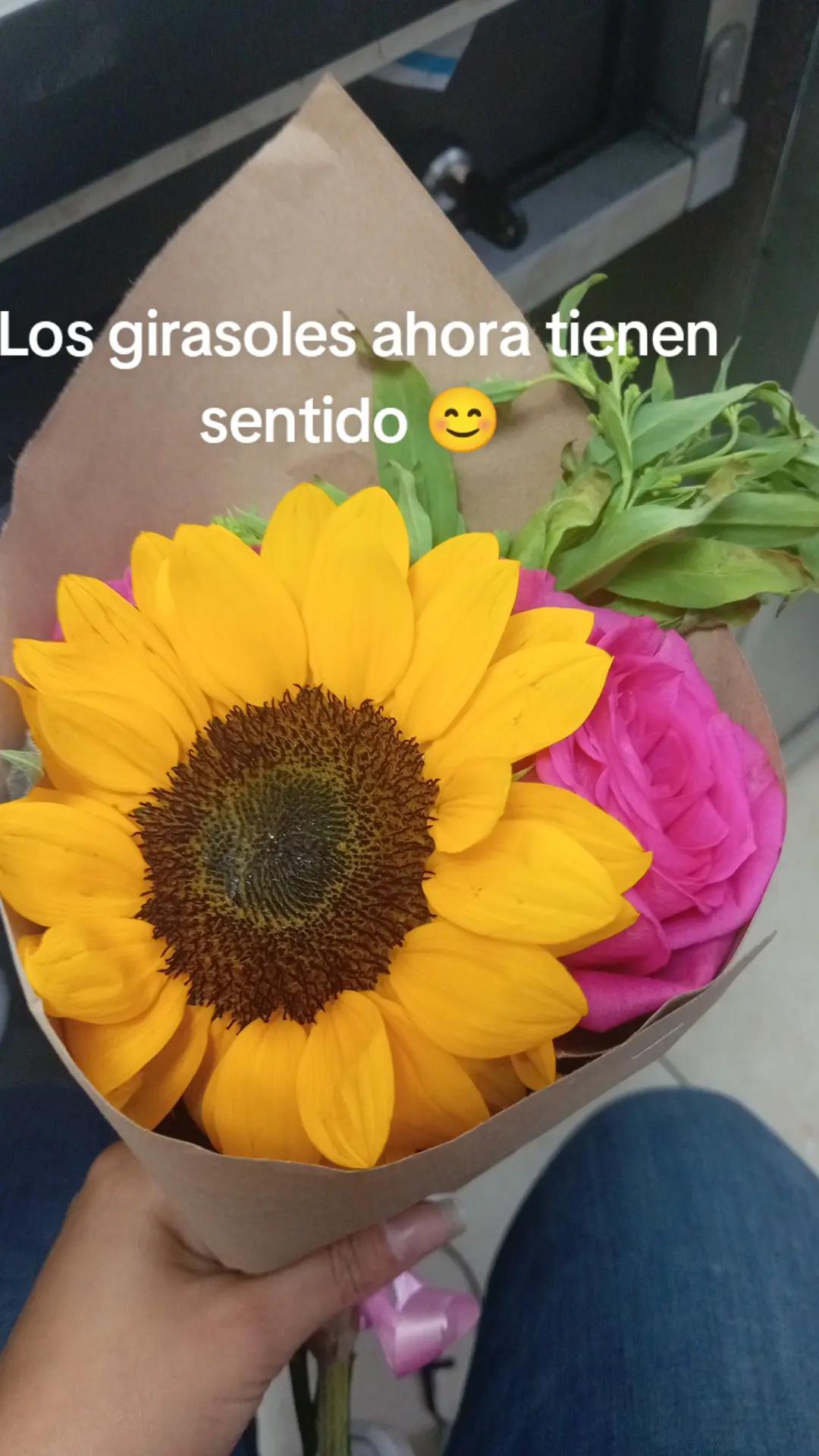 @Lyn