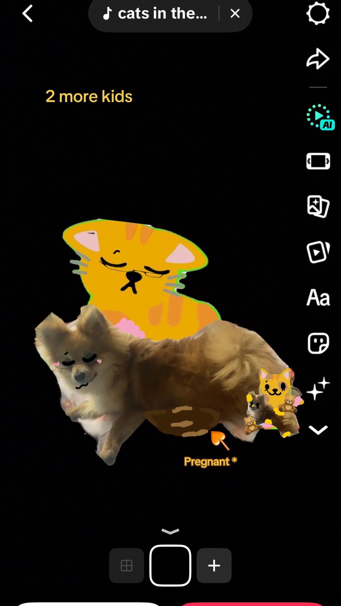 @Cici cool cat