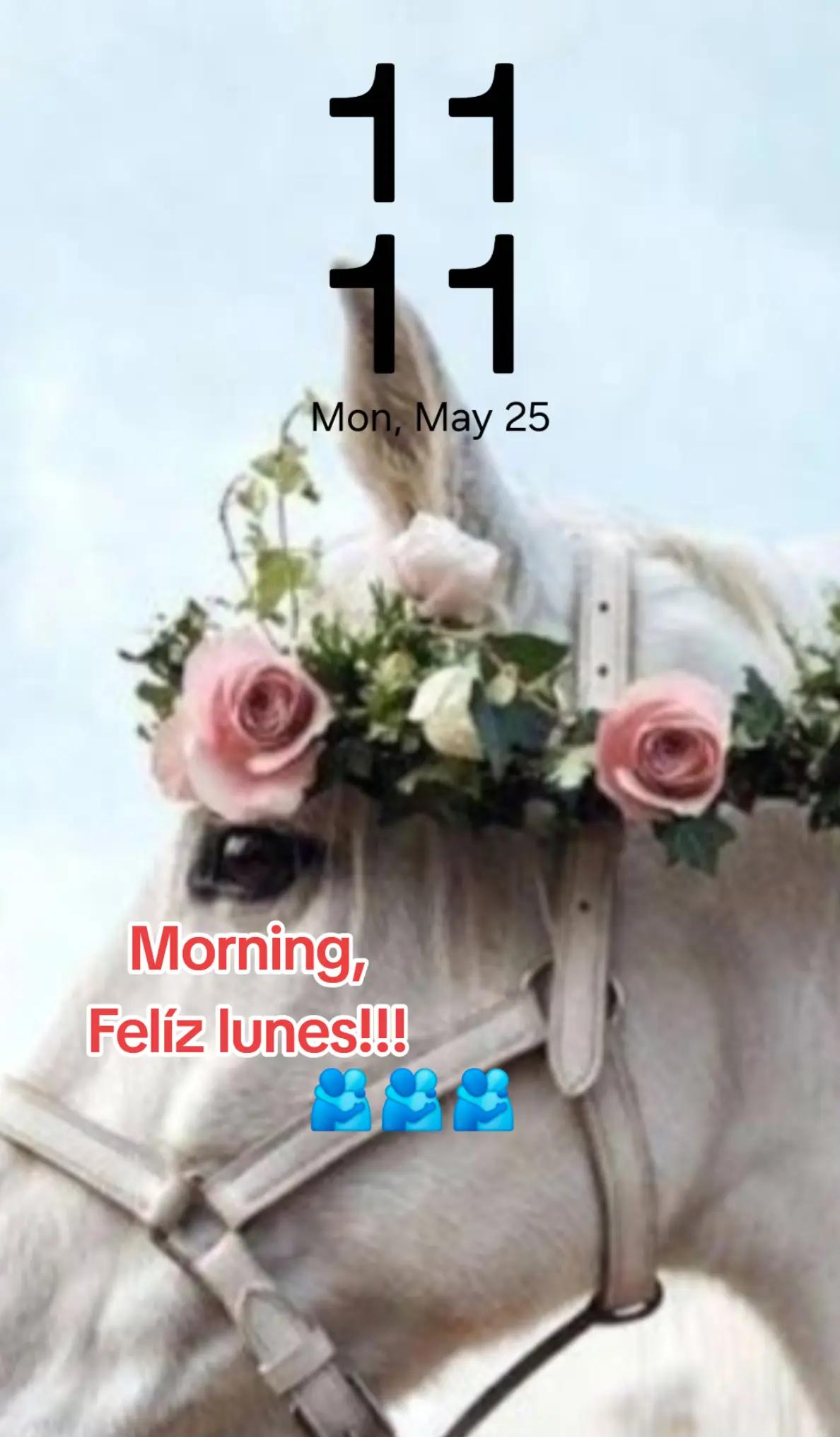 @ca1rmen