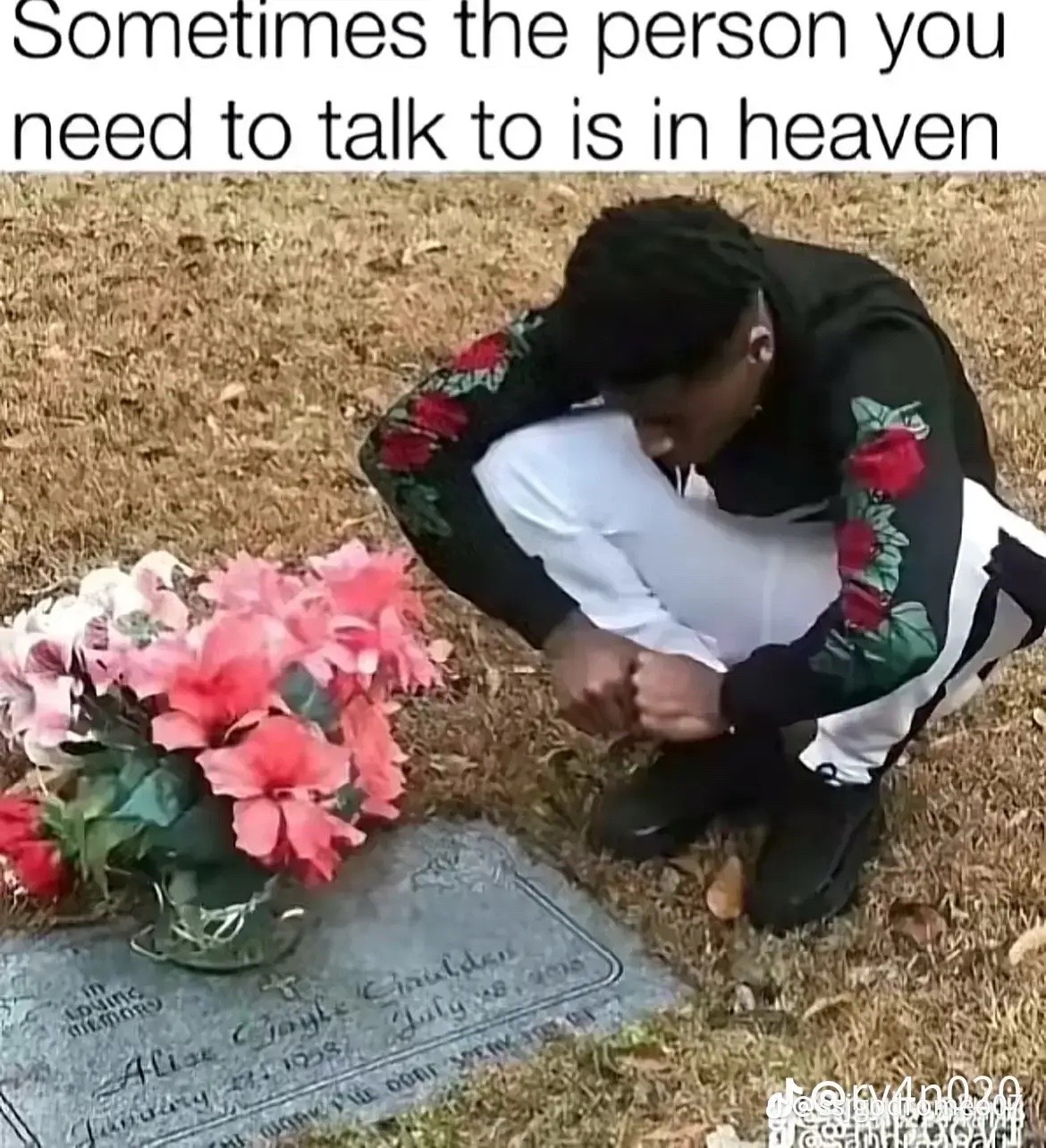 @Shelvup