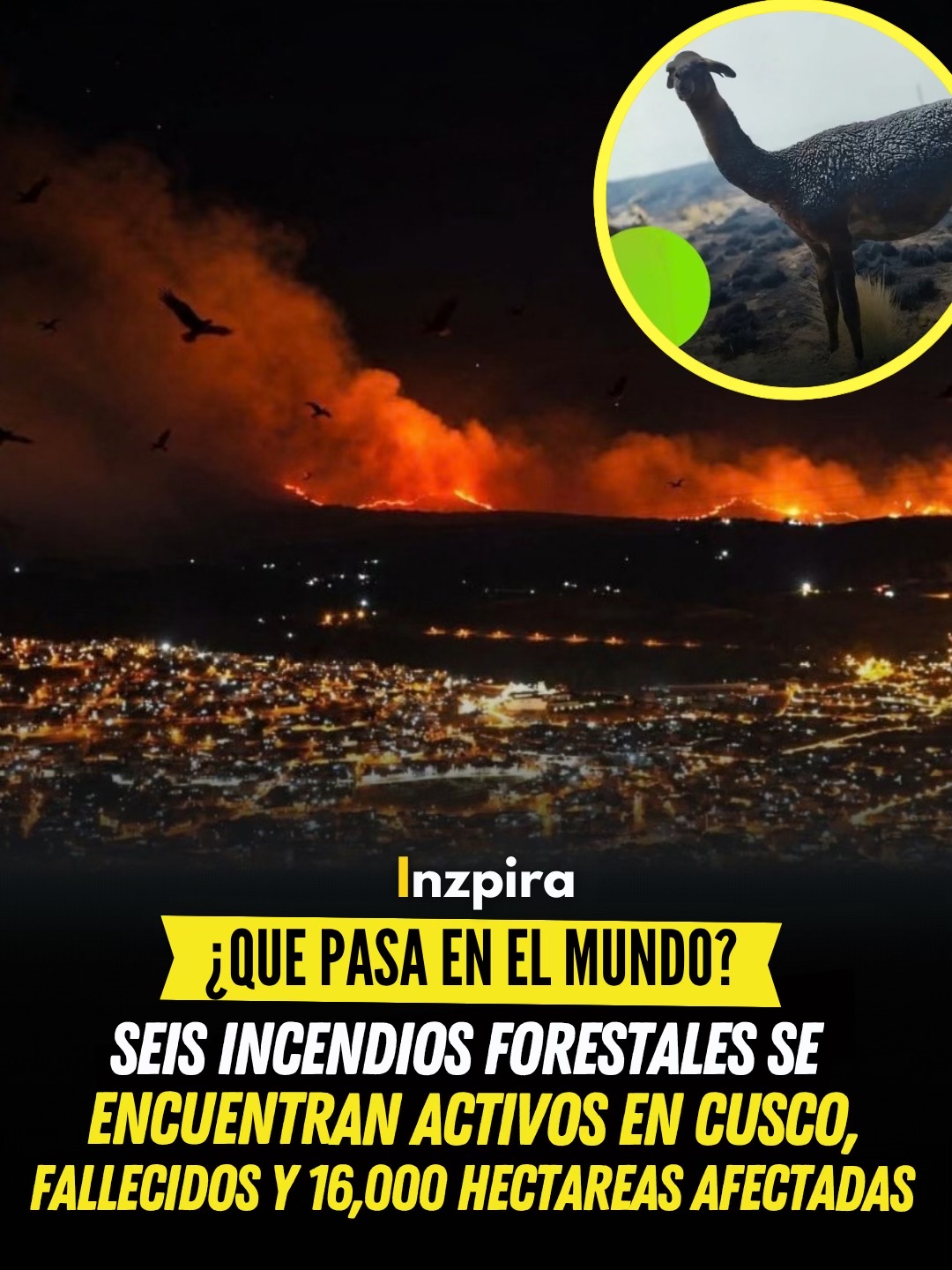 @inzpira.oficial