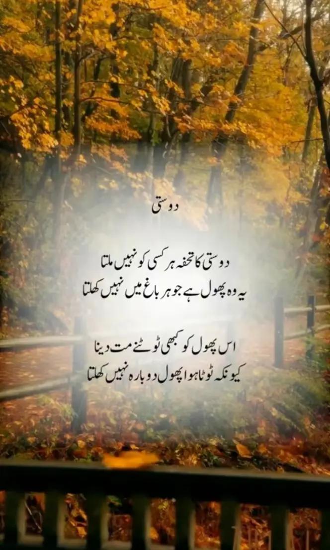 @Isha Fatima