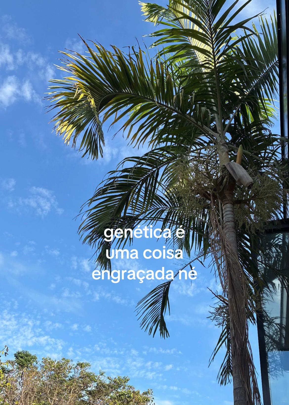 @meninakdrama
