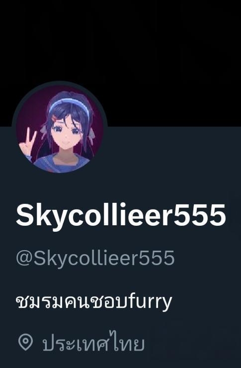 @Skycollieer555