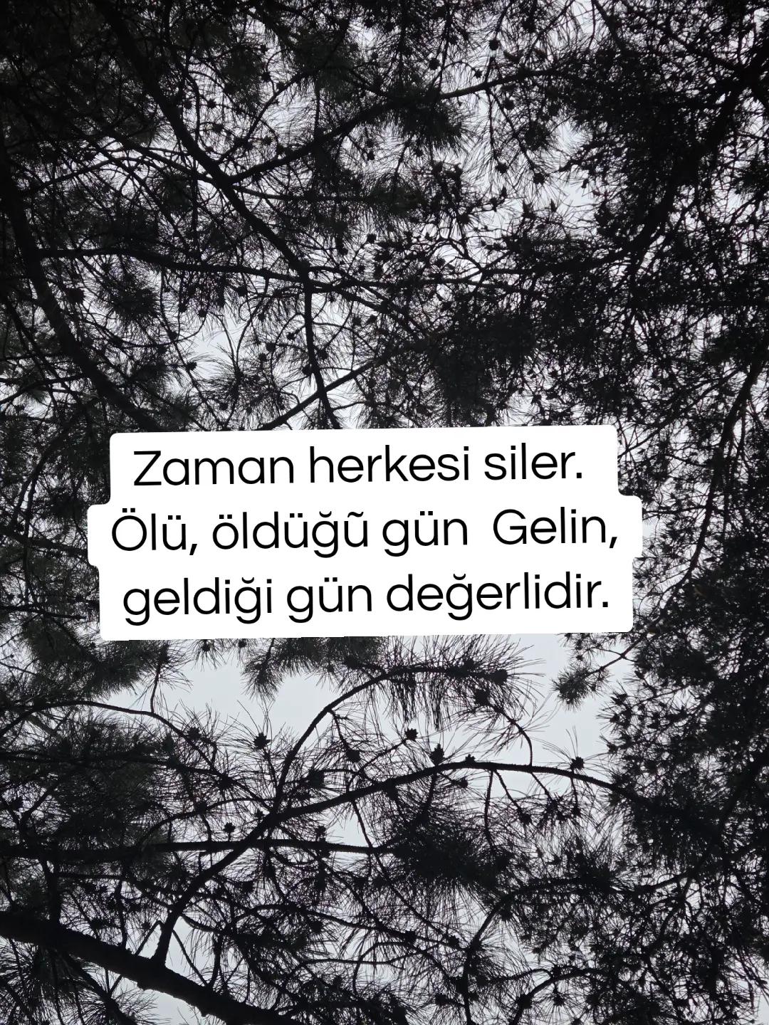 @hayattan izler