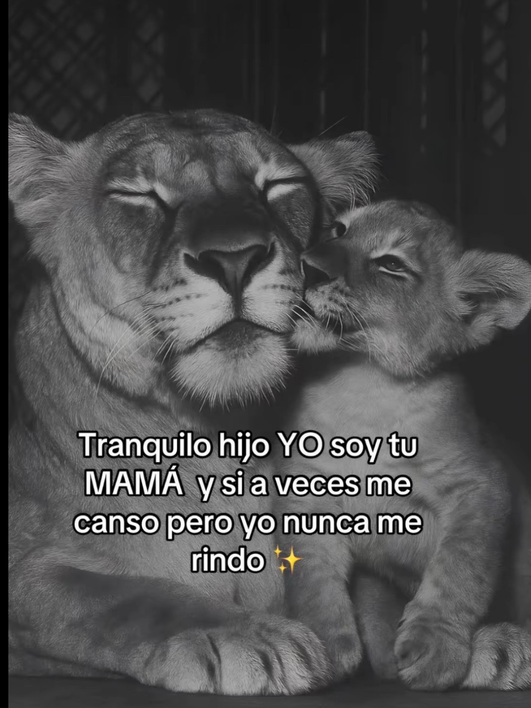 @♡🦋Mary)Luna❤️🩹3212:(🙃👻