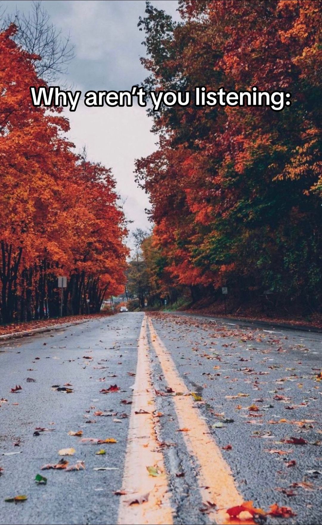 @Funfacts24