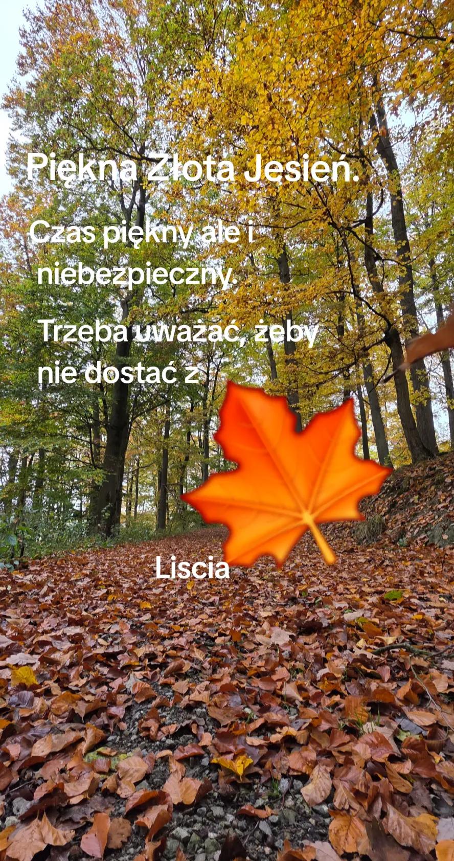 @www🇵🇱🇩🇪