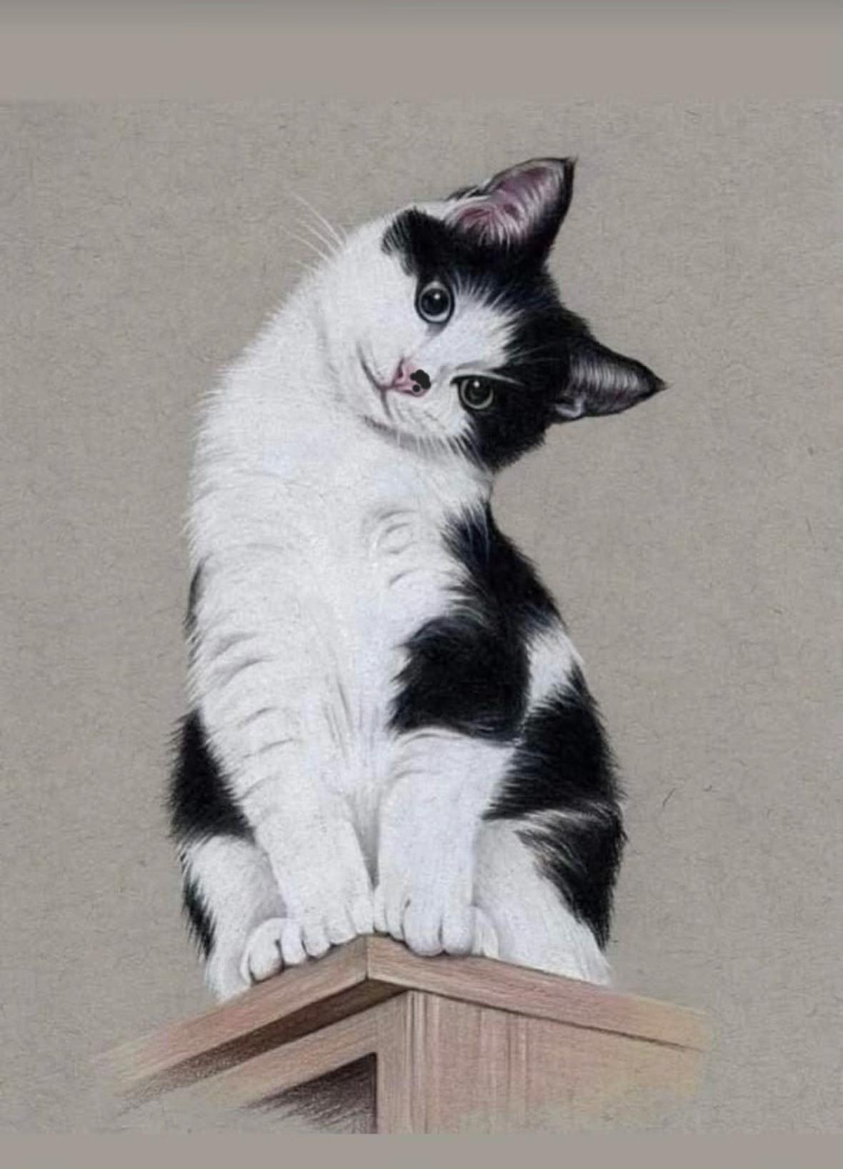 @🐾MILKAM🖤WHISKEYM🩶🐾A❤️🫂