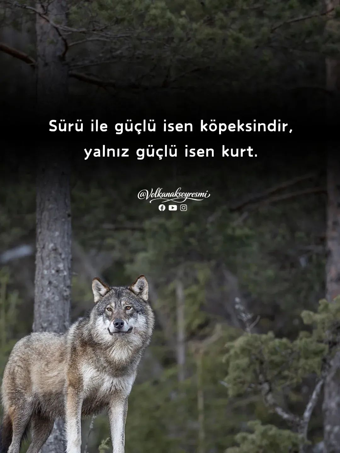 @psikolojik ger&ccedil;ekler