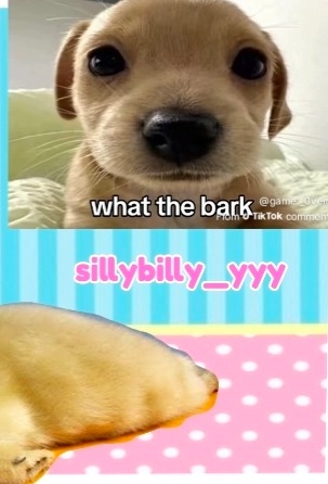 @๐ฆญ๐ง๐ฆpup๐พ๐ชฝ๐ช