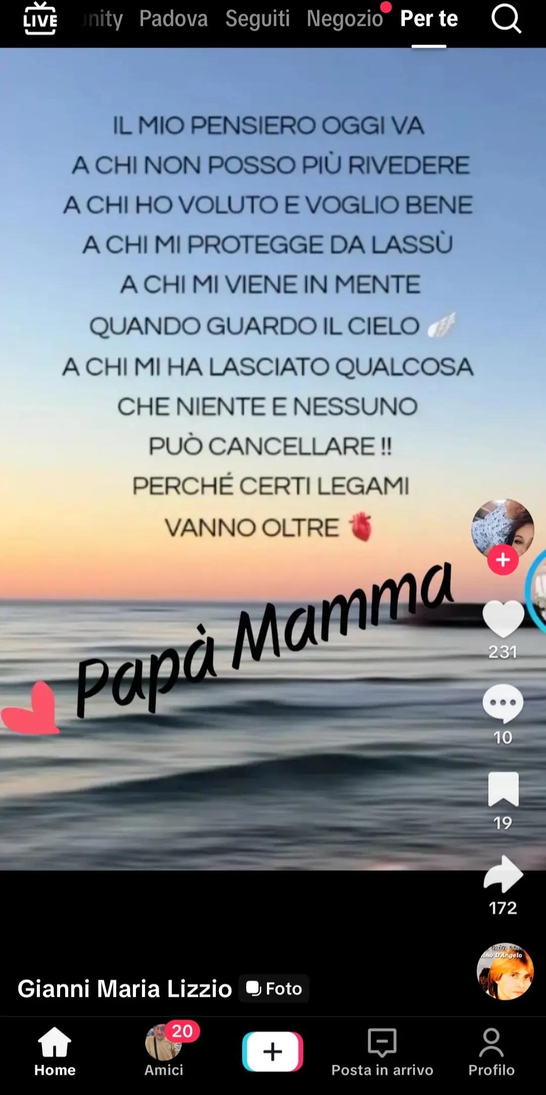 @anna andretta