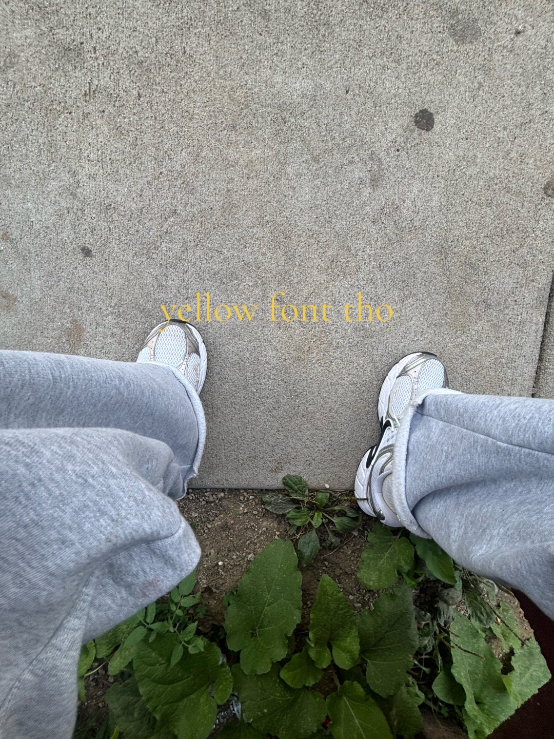 @DaeDae🥷🏿