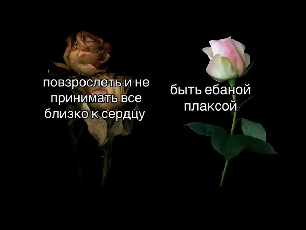 @тгк: виккисс🪽