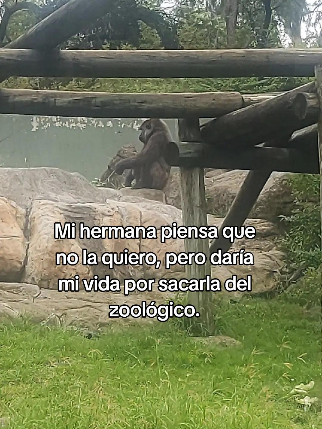 @Erika Saldivar