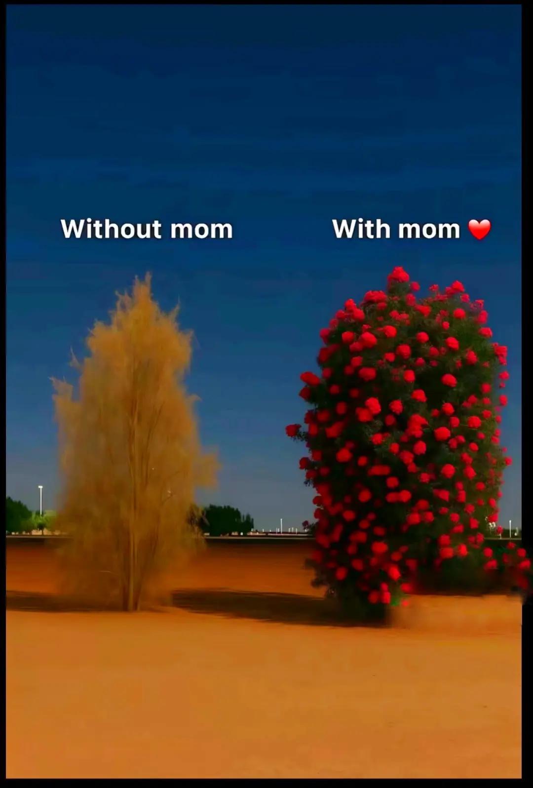 @S ⚜️Khanن×∆