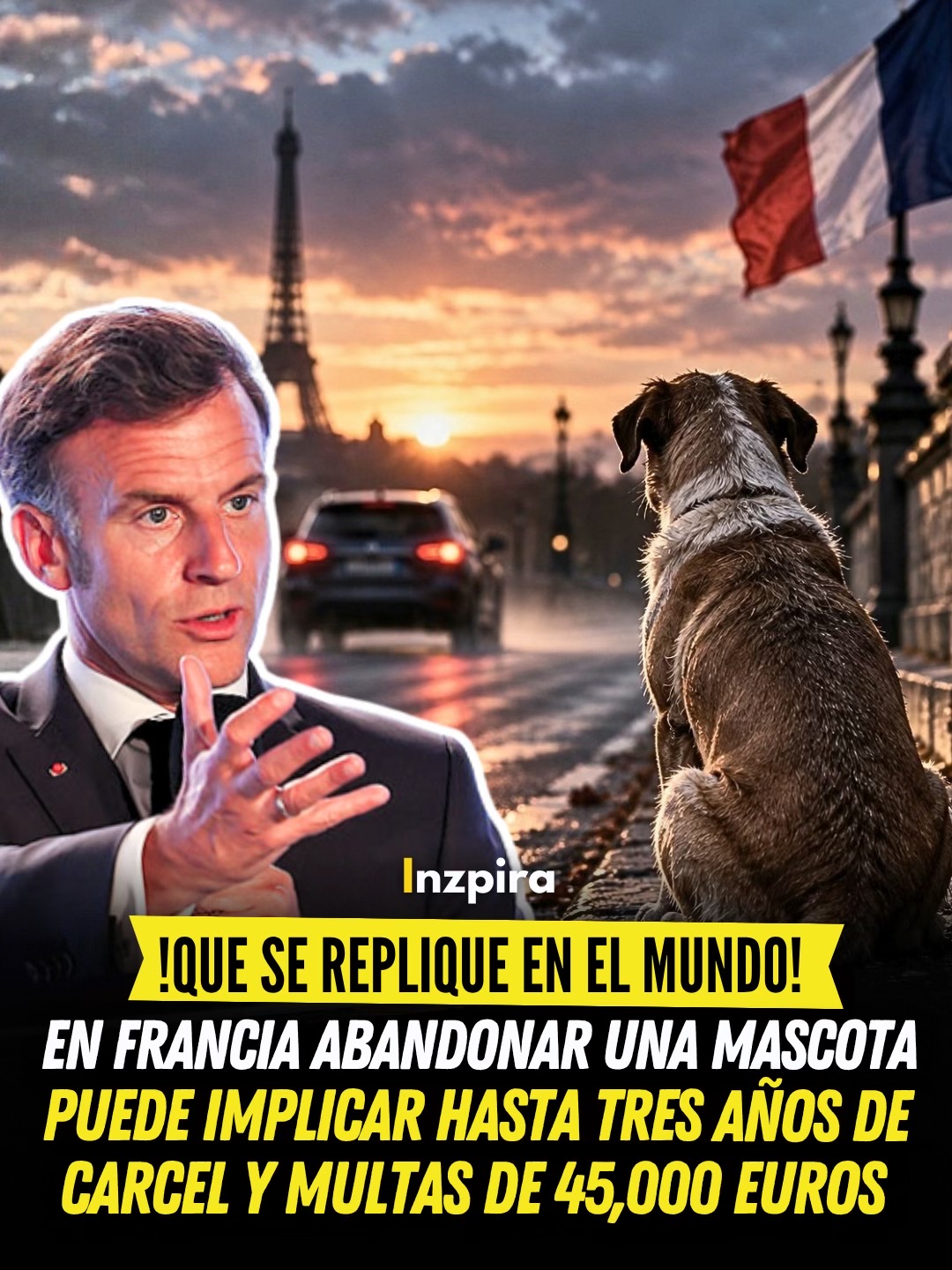 @inzpira.oficial