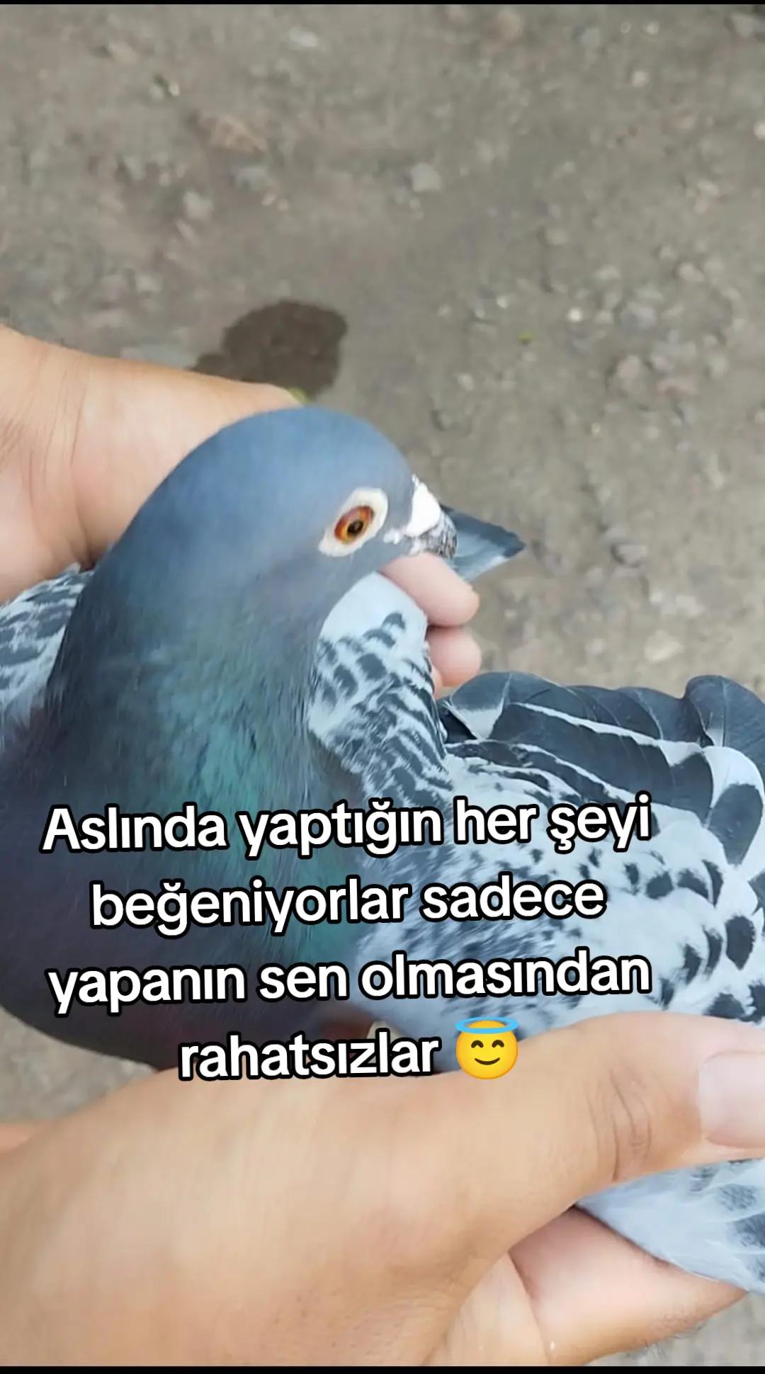 @YARIŞ POSTASI