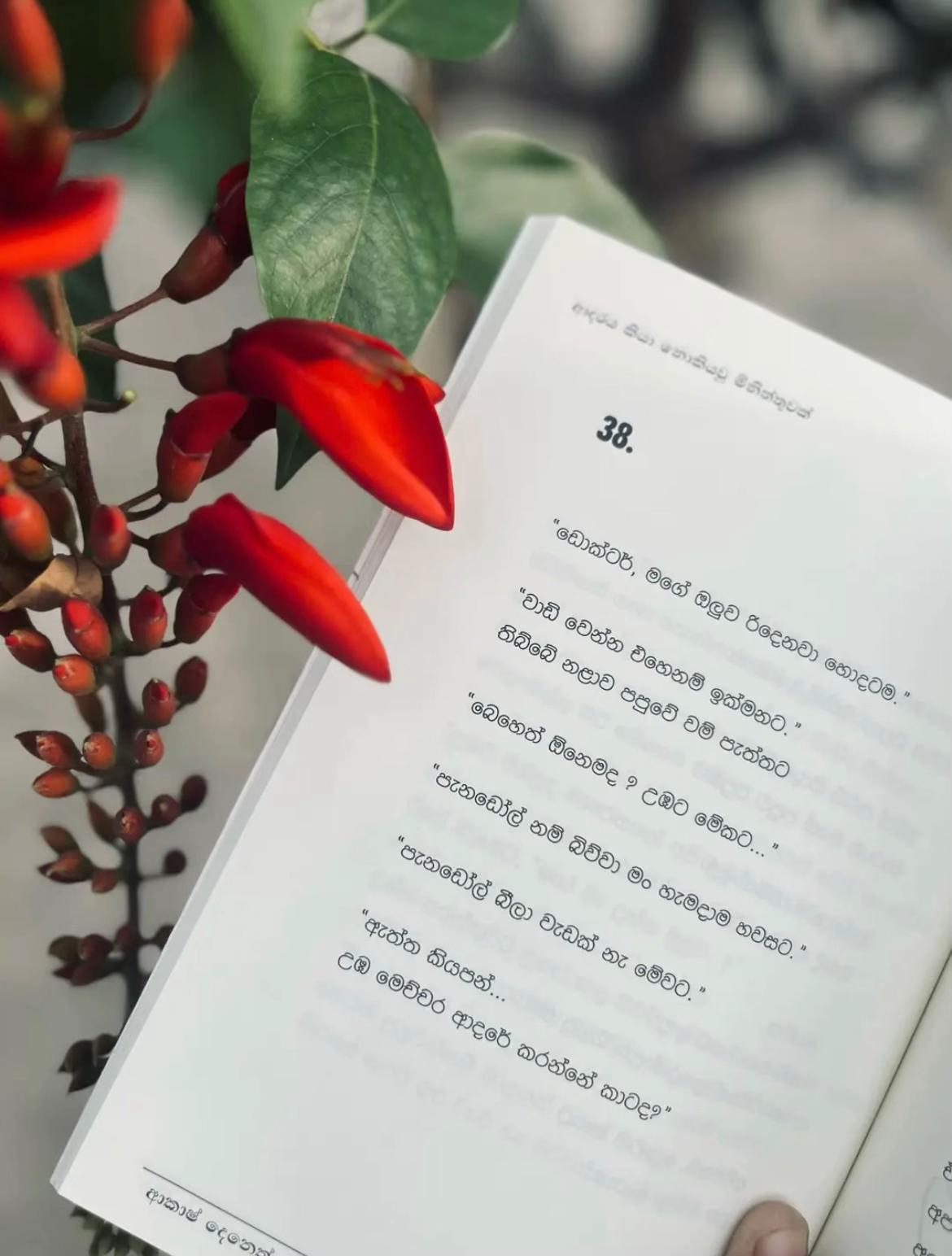 @s&alpha;ch&iota; | සචී | சச்சி 🕊️ღ