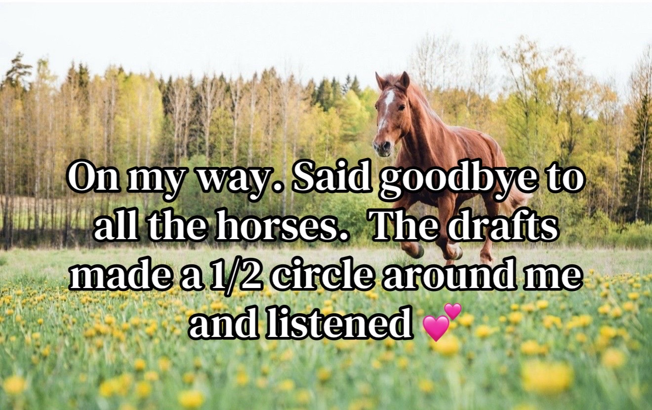 @Safe Place Pastures, Inc.