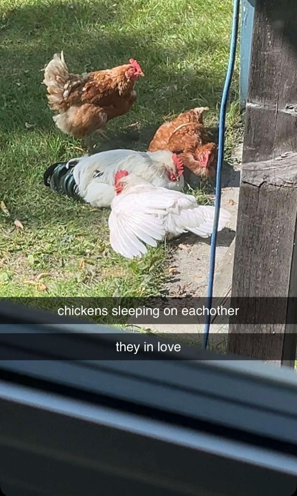 @The Fisher Farm 🇨🇦