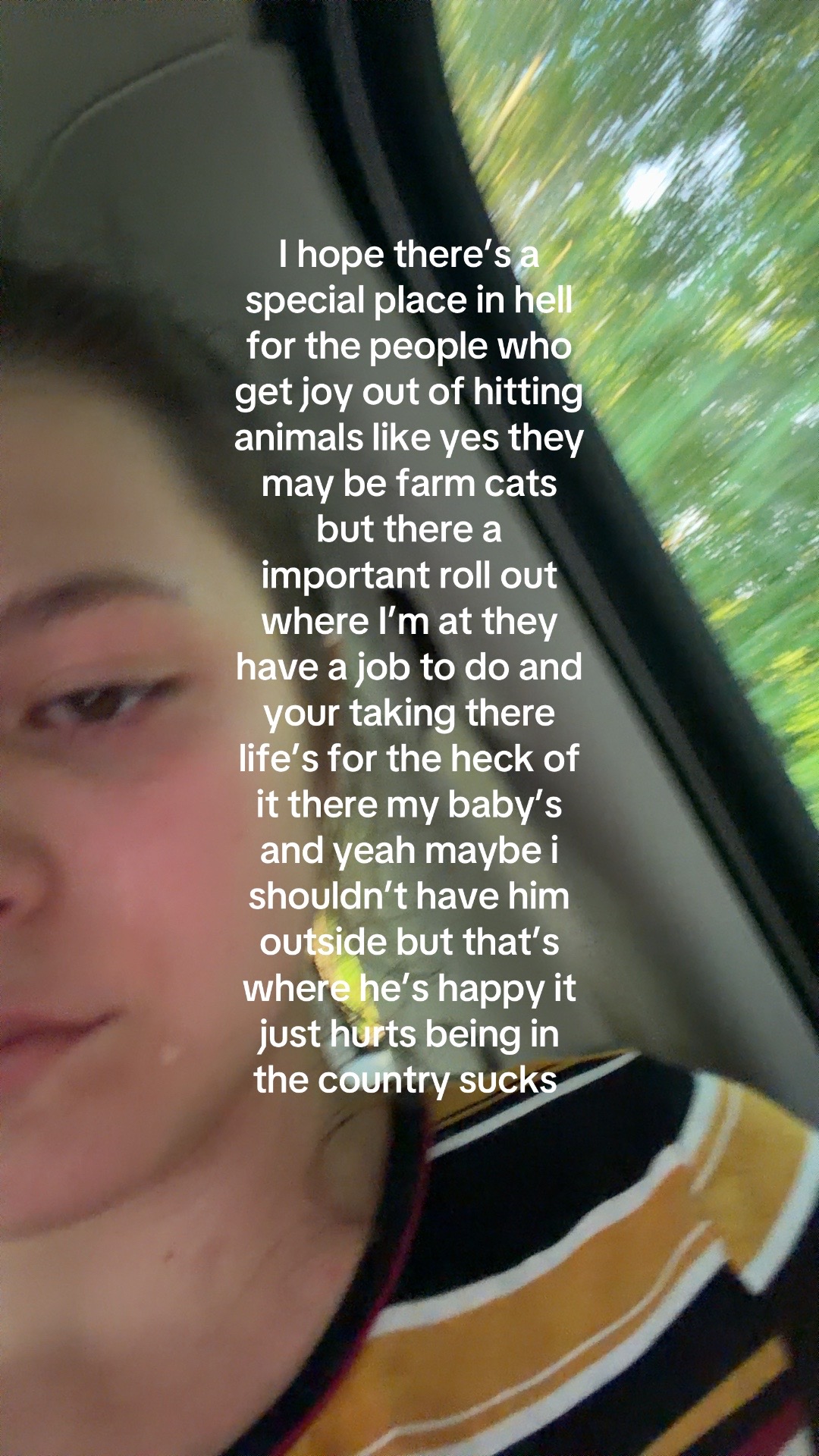 @Holly Ryan