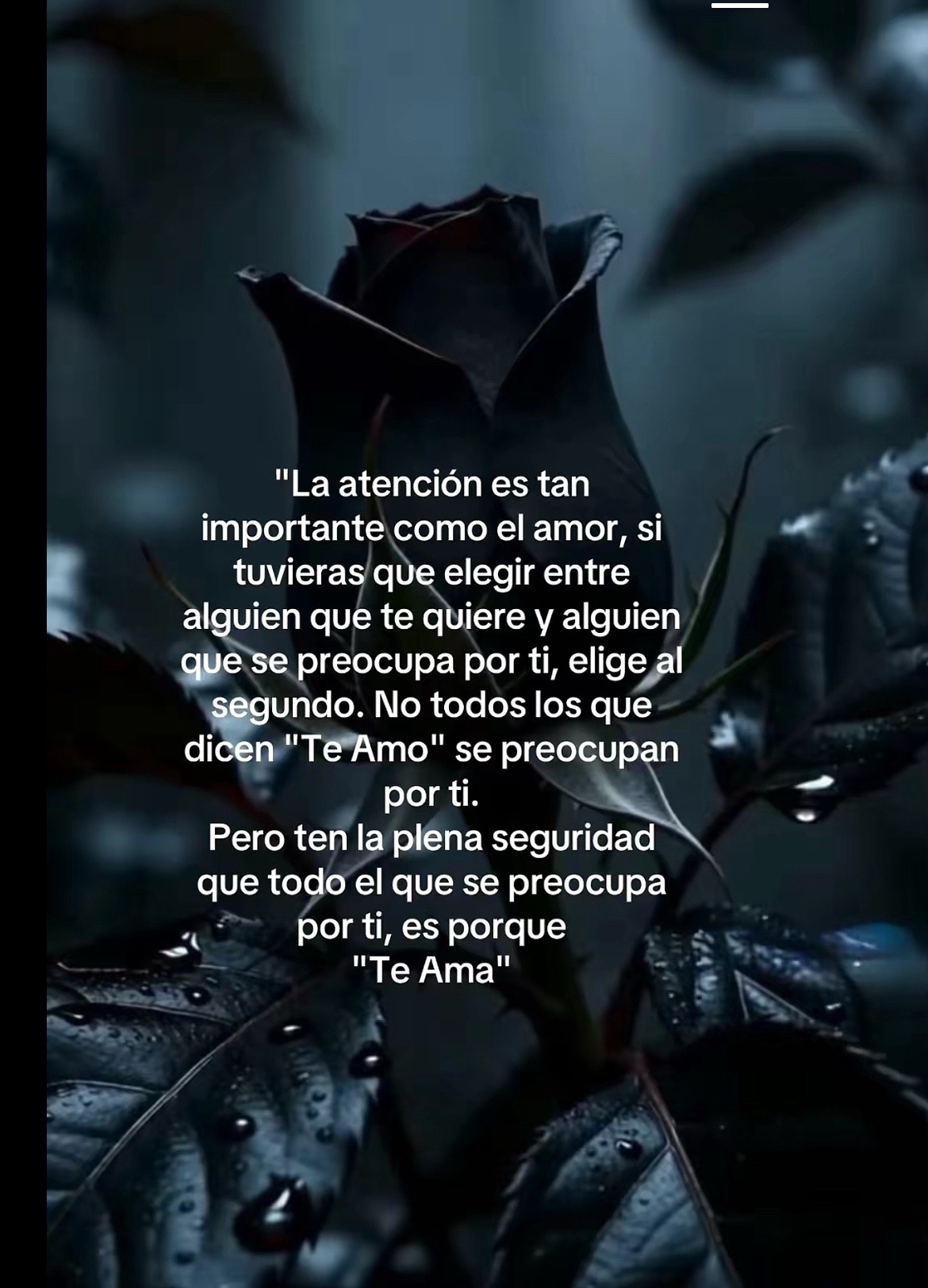 @Carmen Diaz