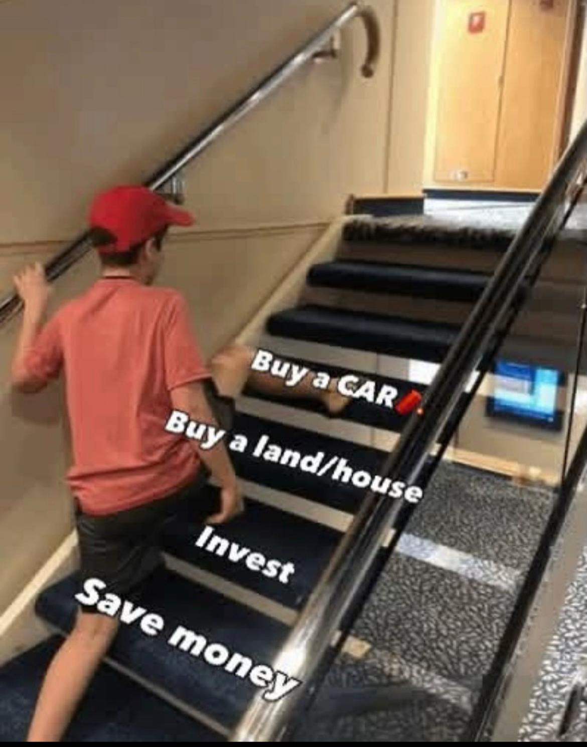 @عائلة القط ايرو