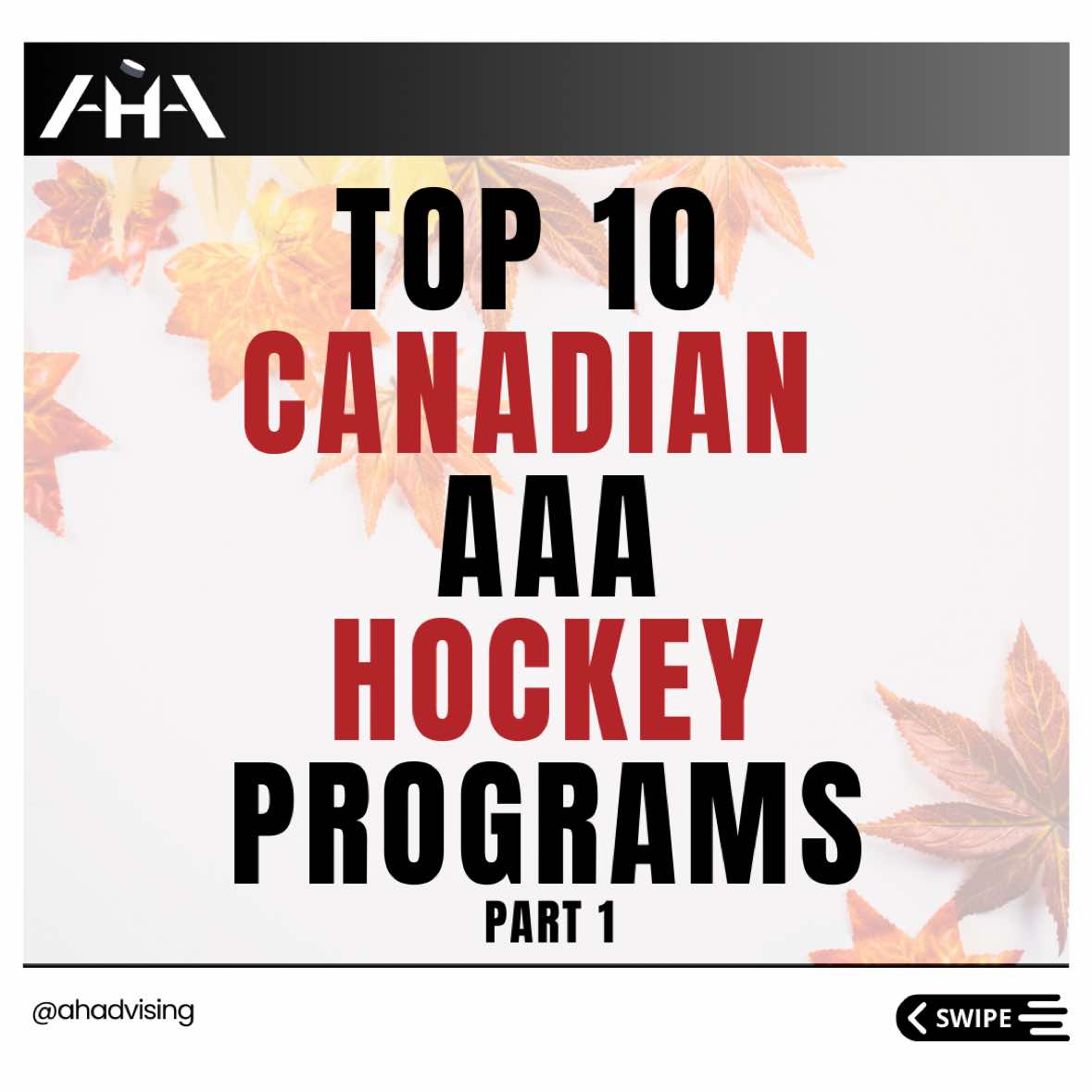 @Advancement Hockey Agency