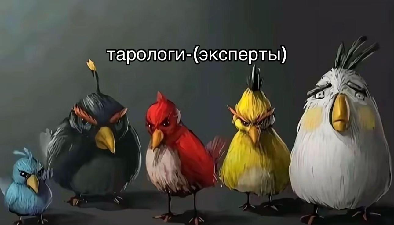 @ТГК:taroyannm