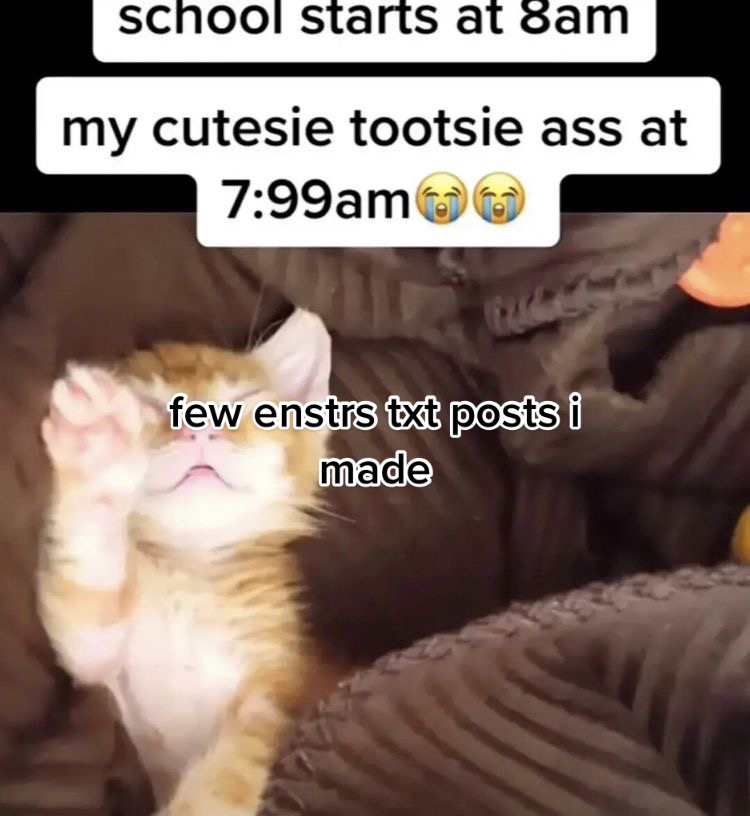 @🫧