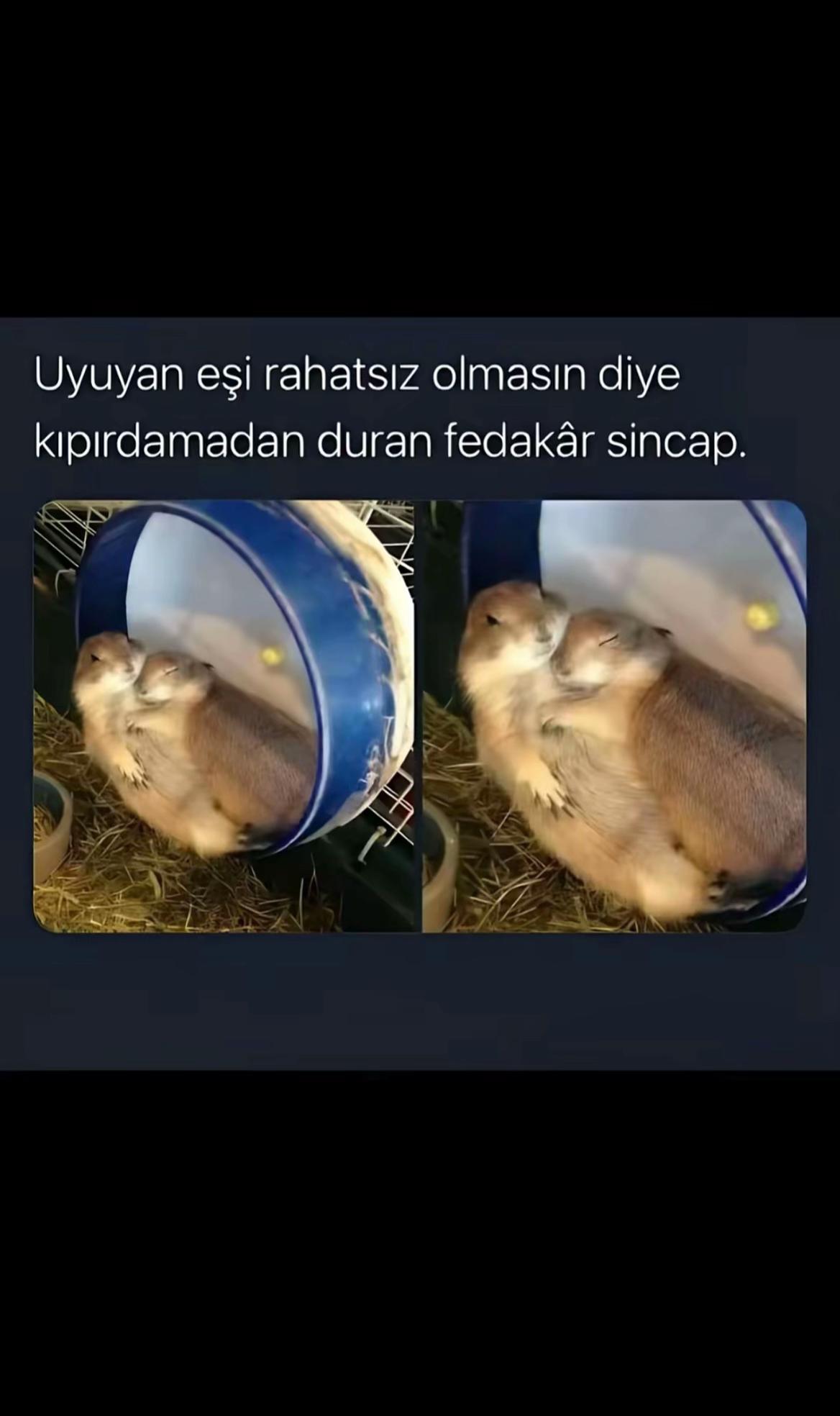 @𝑚𝑒𝑙𝑖𝑠𝑎𝑎