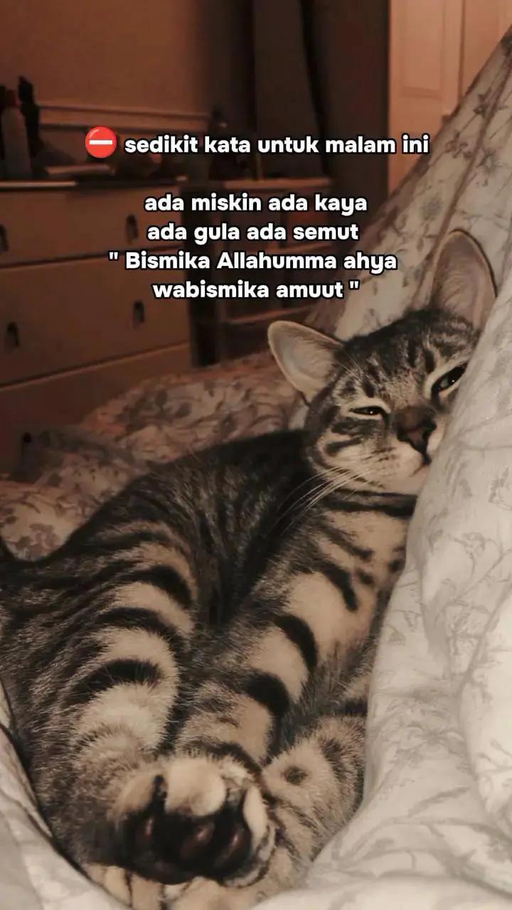 @Pujapujaan🧏♀️