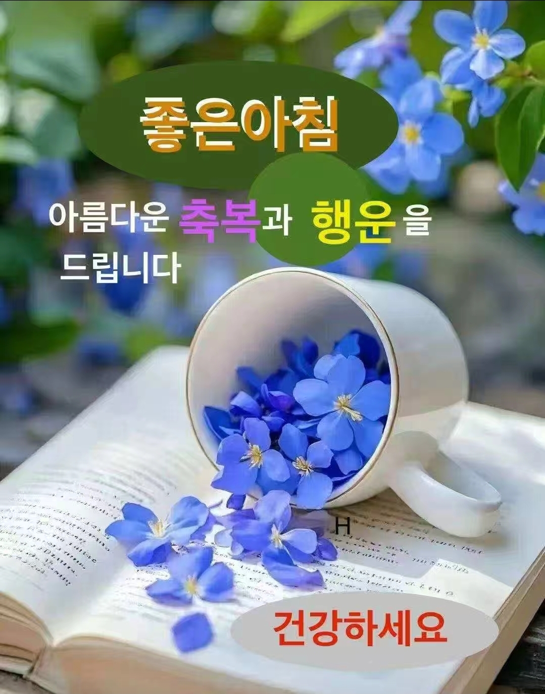 @자유로운 영혼