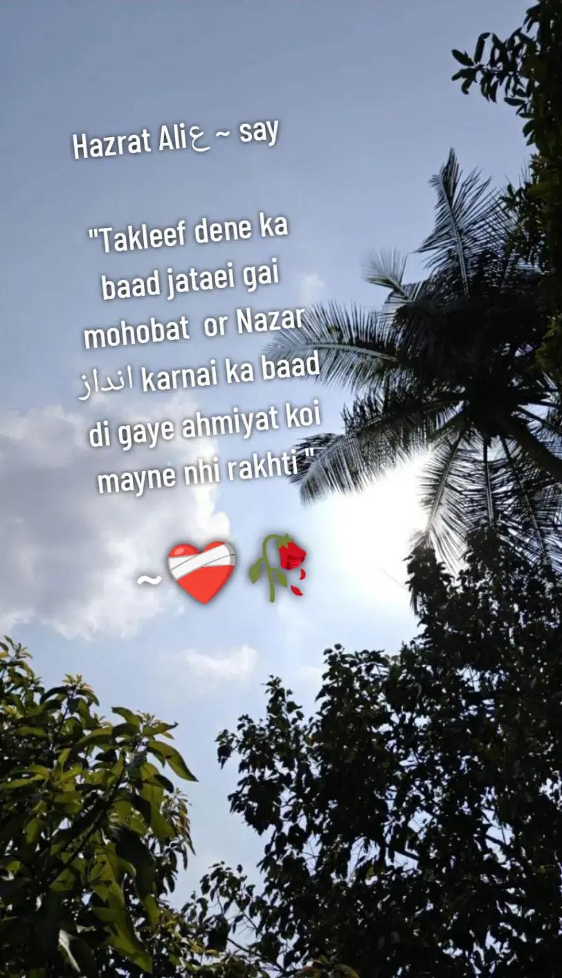 @Mughal Here ☠️❤️&zwj;🔥🍂