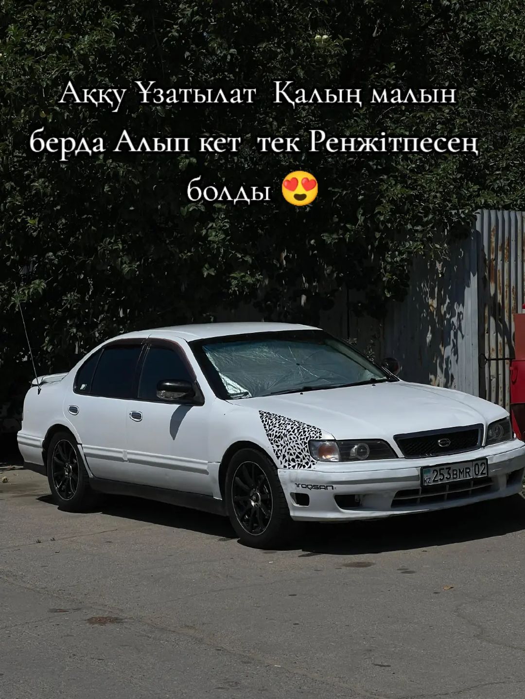 @AKYLBAYEV ✅