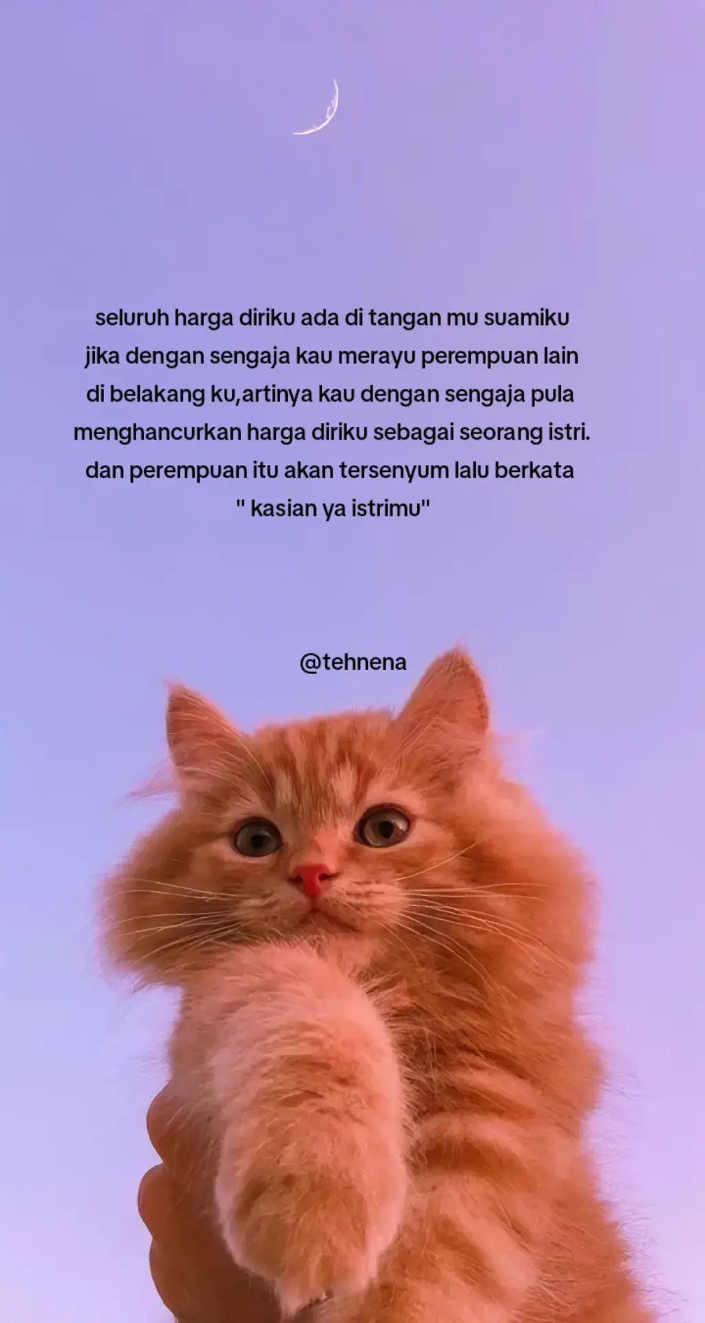 @Nena🥀