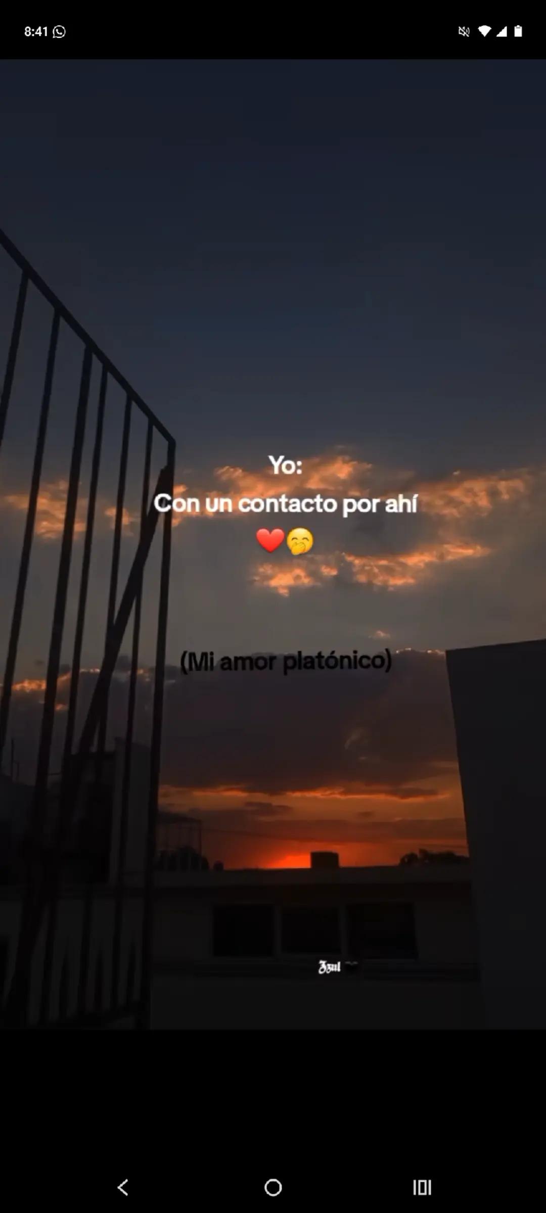 @Beatriz Palma