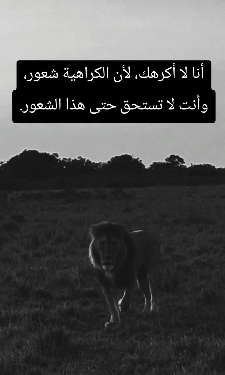 @🦁 scarface 🦁