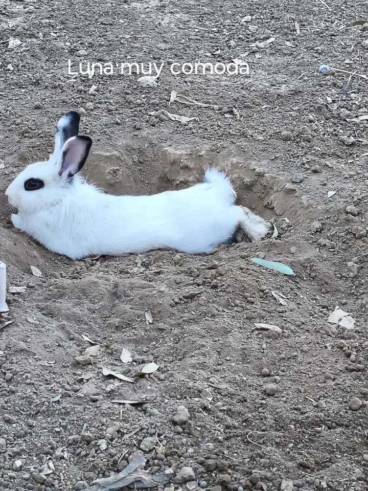 @Mary.S