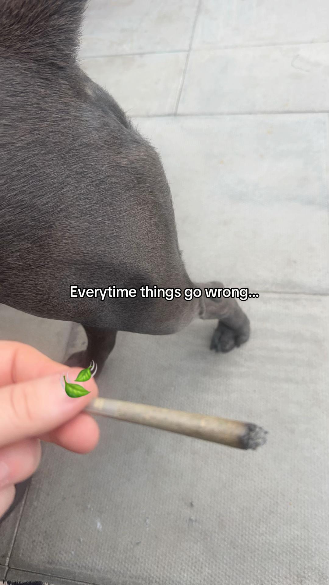 @𝘽𝙥𝙙𝙚𝙢𝙞𝙡𝙮𝙐𝙣𝙛𝙞𝙡terd