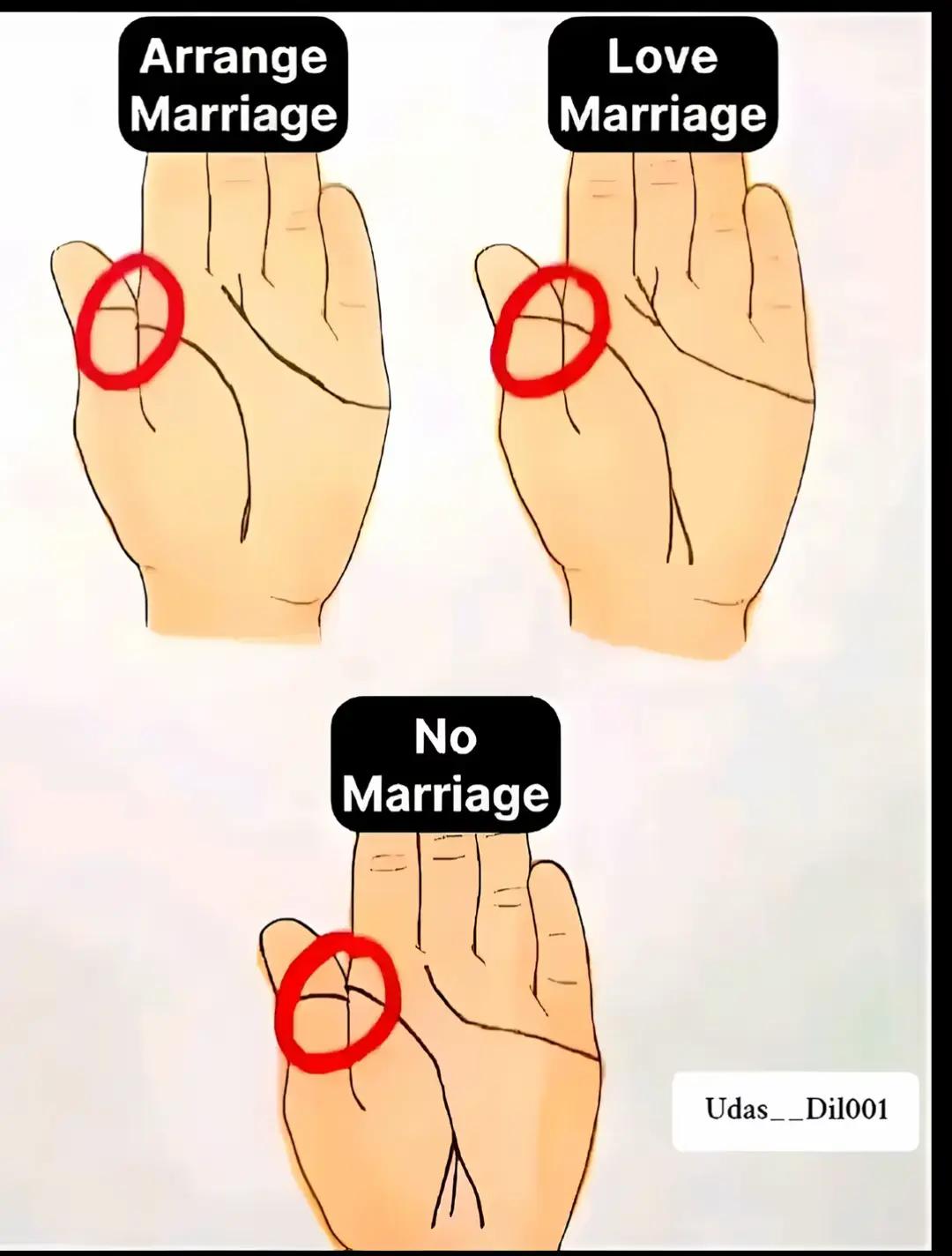 @Mr Sheikh