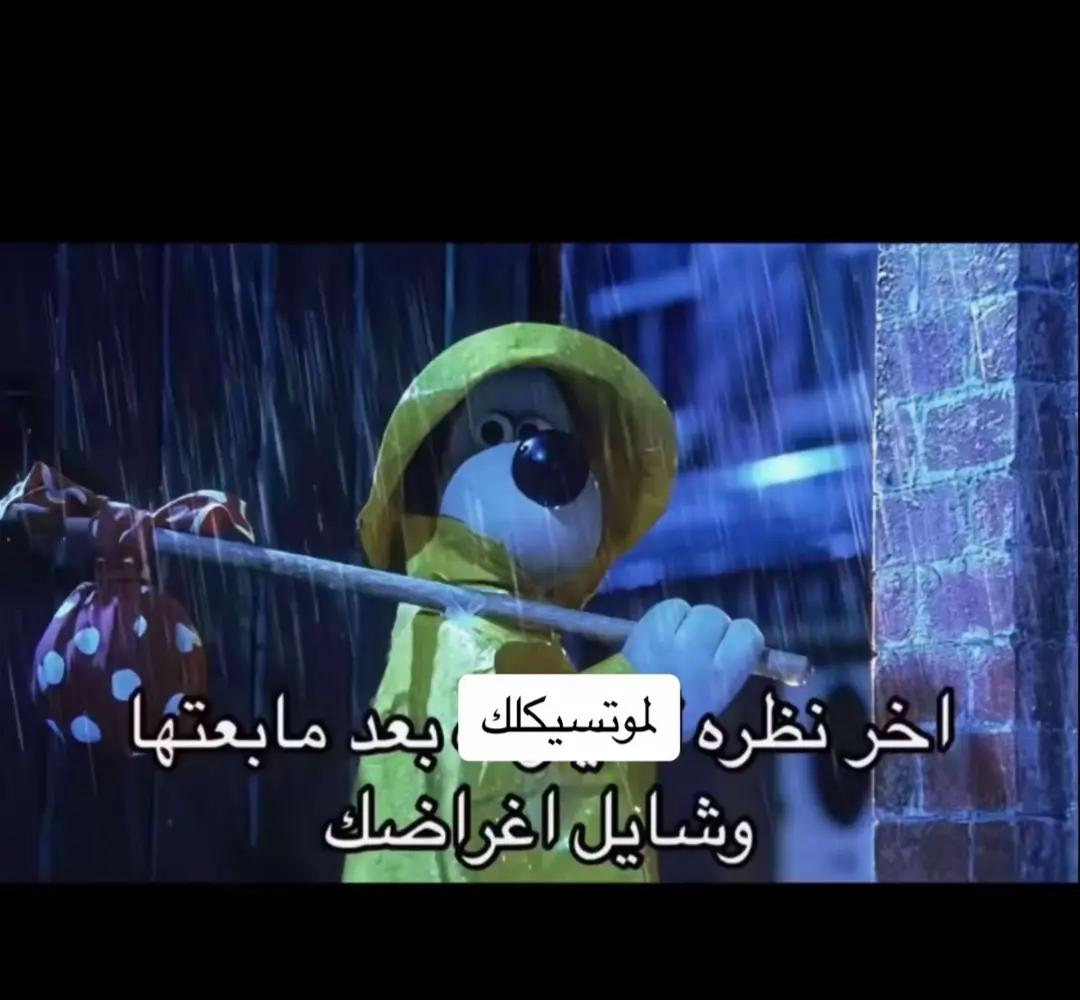 @Kareem Barakat